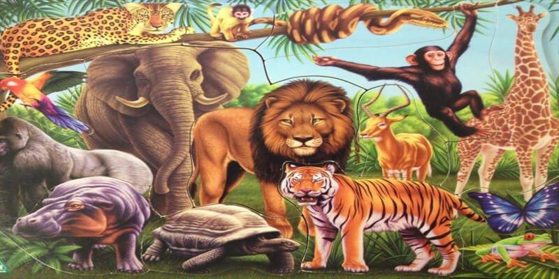 عالم الحيوانات: عندما يكون الحب في الطبيعة معقدًا أكثر من علاقاتنا! 🐦💔