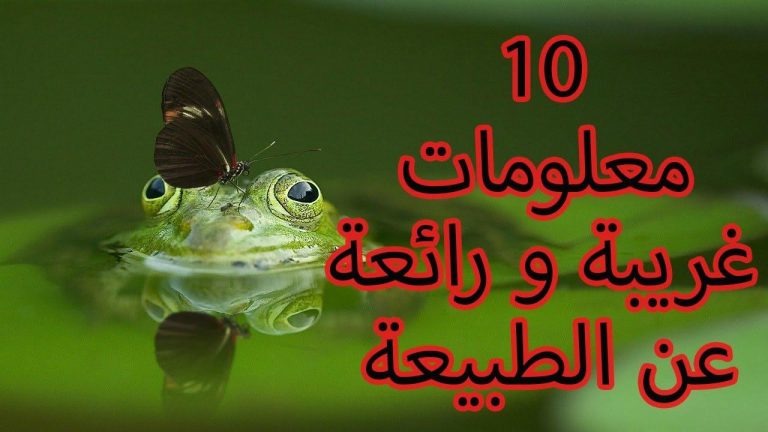 حقائق غريبة ورائعة عن الطبيعة قد لا تعرفها! 🌿😄