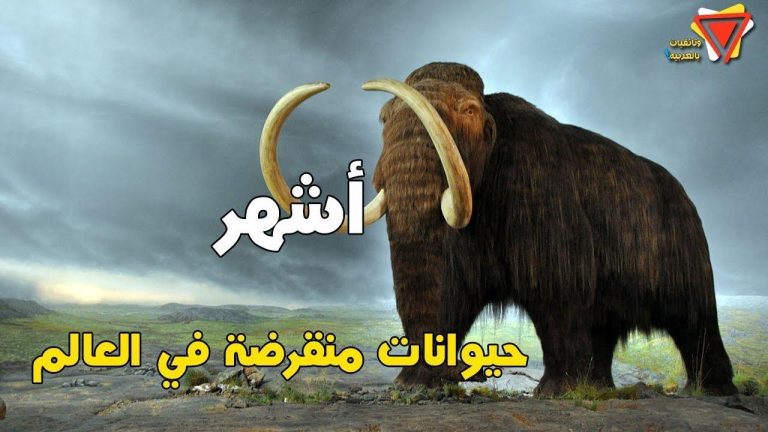 الحيوانات المنقرضة وأسباب انقراضها: تحليل شامل