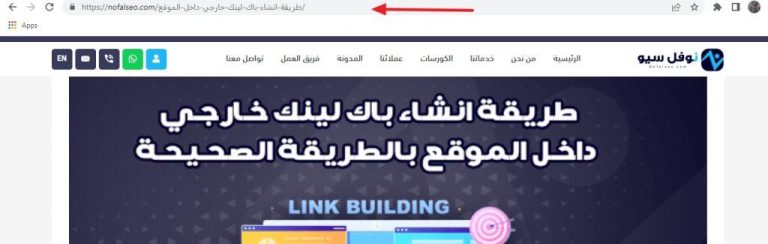 طرق فعالة للحفاظ على مطبخك خالياً من الحشرات