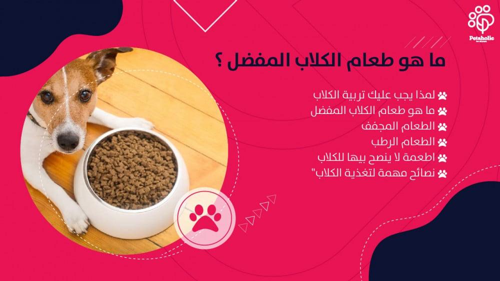 أهمية توفير الغذاء والمأوى وآثاره الإيجابية على المجتمع