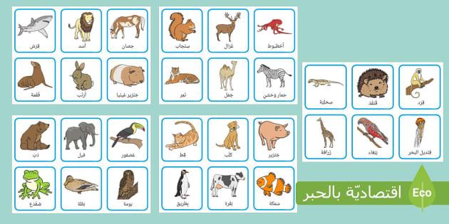 الحيوانات كرموز في الأساطير القديمة وتأثيرها على الثقافات