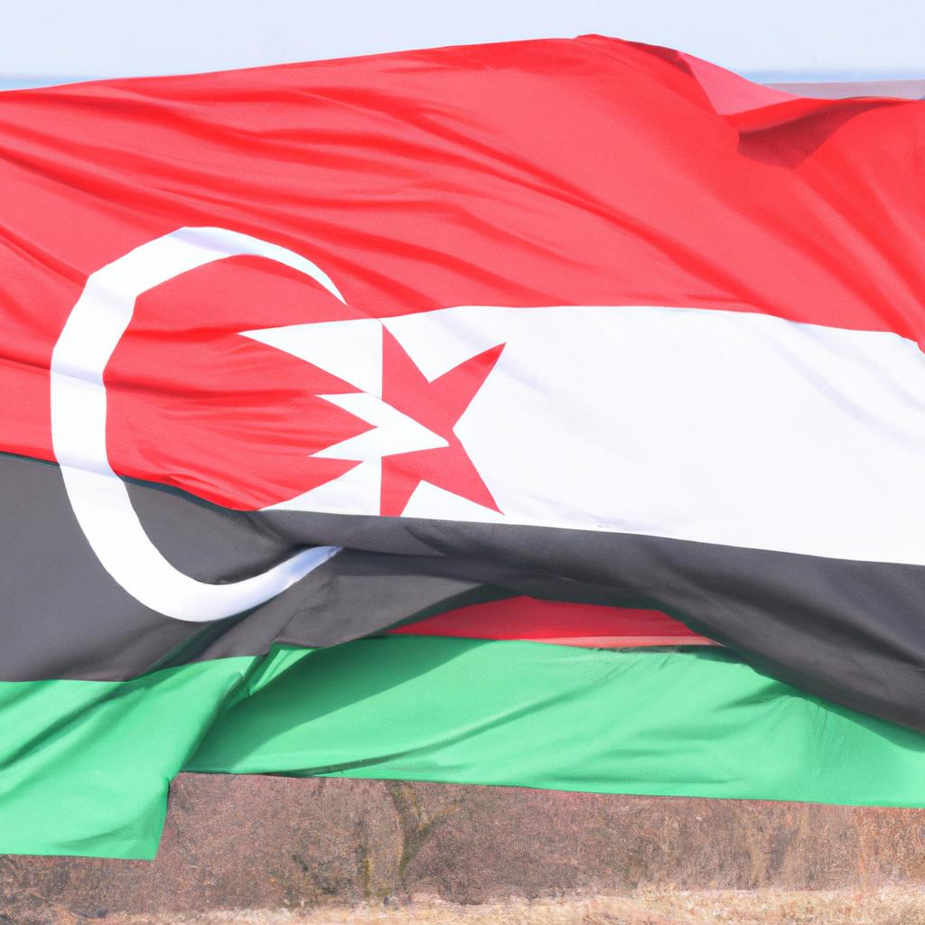 المكونات الأساسية لوجبة متوازنة وكيفية اختيارها